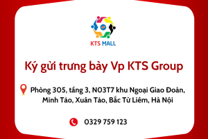 Consignment for exhibition at KTS Mall - KTS Group (Room 305, 3rd Floor, Building N03T7, Diplomatic Corps Area, Minh Tao, Xuan Tao, Bac Tu Liem, Hanoi)