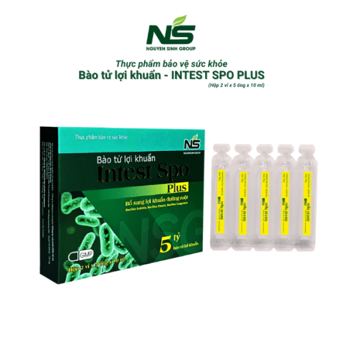 Thực phẩm bảo vệ sức khỏe Bào tử lợi khuẩn Intest spo Plus (10 ống x