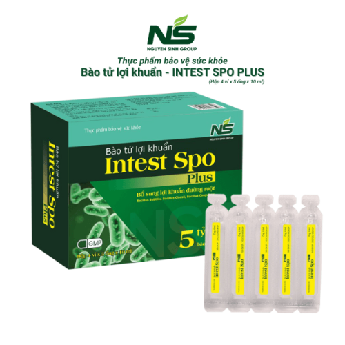 Thực phẩm bảo vệ sức khỏe Bào tử lợi khuẩn Intest spo Plus (20 ống x